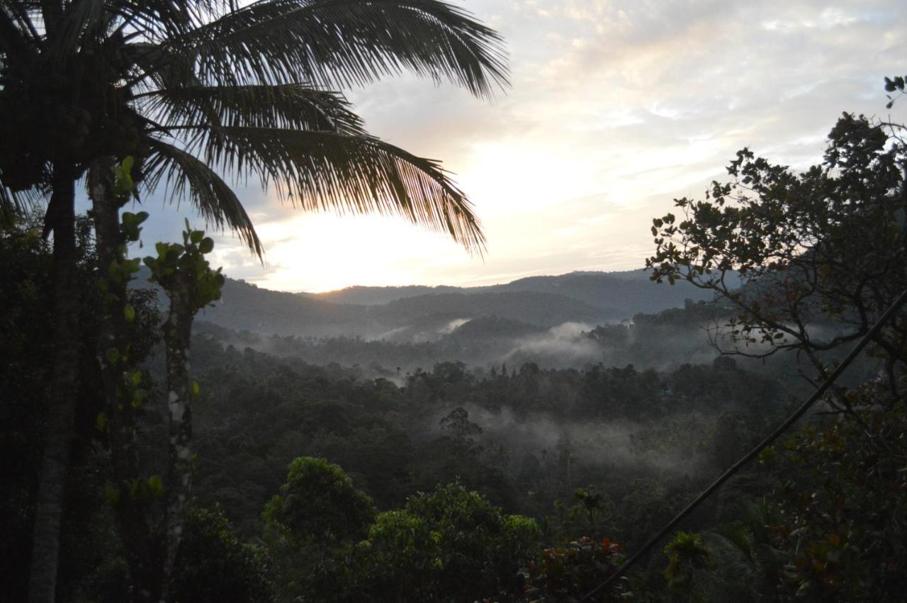 The Shade Munnar Exterior foto